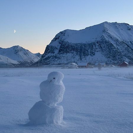 Unique Barnhouse In Amazing Gimsoy In Lofoten Saupstad  Bagian luar foto