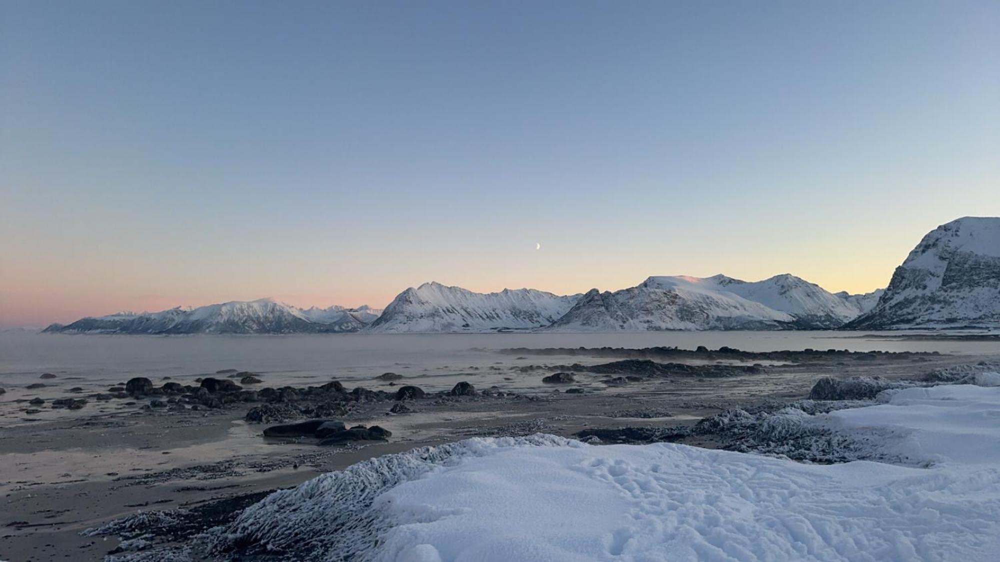 Unique Barnhouse In Amazing Gimsoy In Lofoten Saupstad  Bagian luar foto